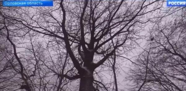 俄罗斯的狗也被制裁了!俄议员痛斥:我们的小动物做错了什么?