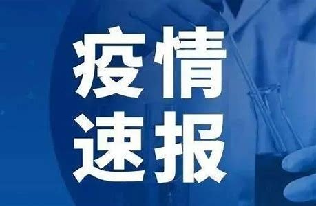 小伙裸辞立夏在上海隔离,立秋滞留在三亚!他今冬还能顺利工作吗?