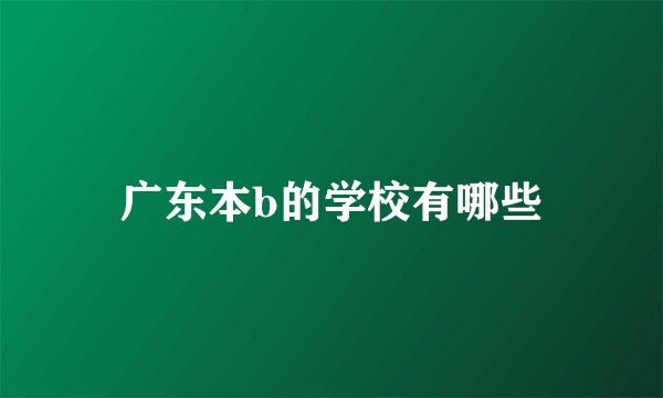 广东本b的学校有哪些