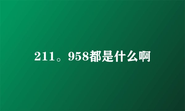 211。958都是什么啊