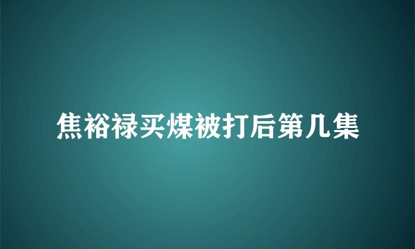 焦裕禄买煤被打后第几集