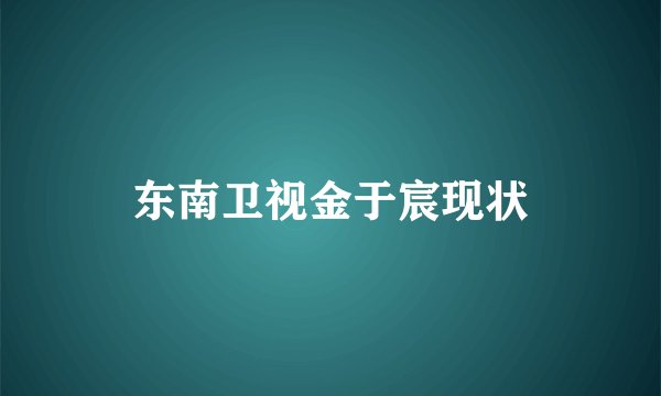 东南卫视金于宸现状