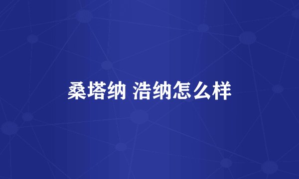 桑塔纳 浩纳怎么样