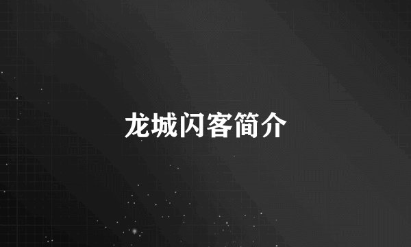 龙城闪客简介