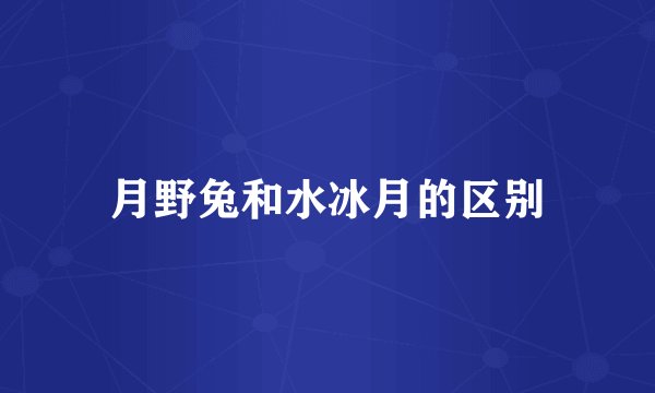 月野兔和水冰月的区别
