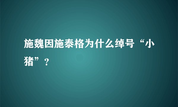 施魏因施泰格为什么绰号“小猪”？