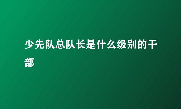 少先队总队长是什么级别的干部