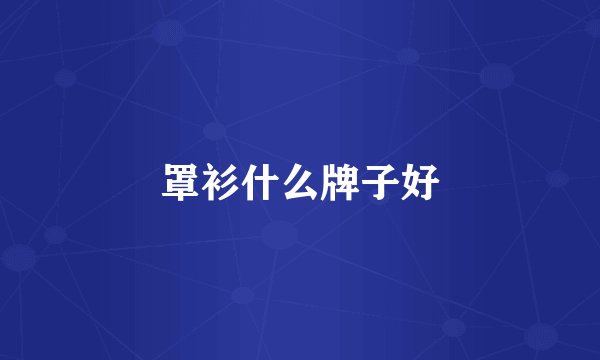 罩衫什么牌子好