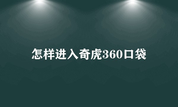怎样进入奇虎360口袋