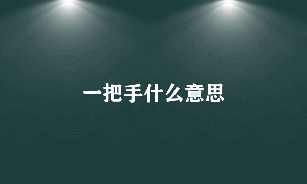 一把手什么意思