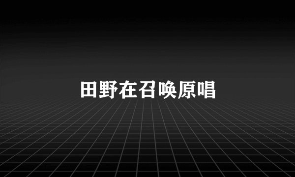 田野在召唤原唱