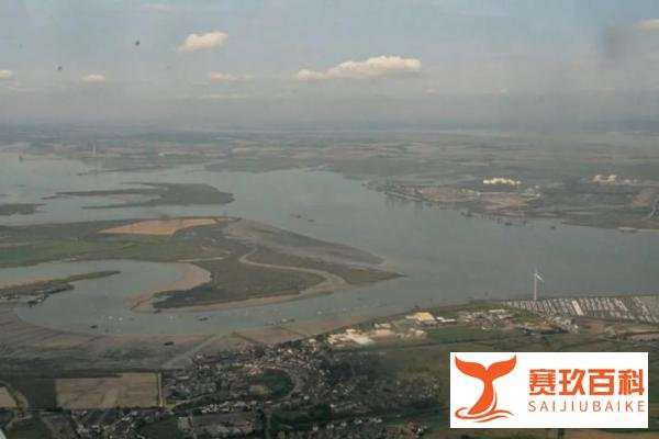 英国有座“死人岛”，任何人不允许进入，棺材碎片和骸骨遍地都是