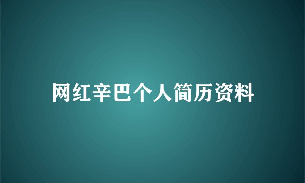 网红辛巴个人简历资料