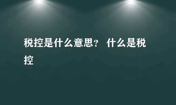 税控是什么意思？ 什么是税控