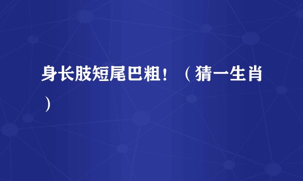 身长肢短尾巴粗!(猜一生肖)