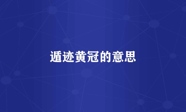 遁迹黄冠的意思