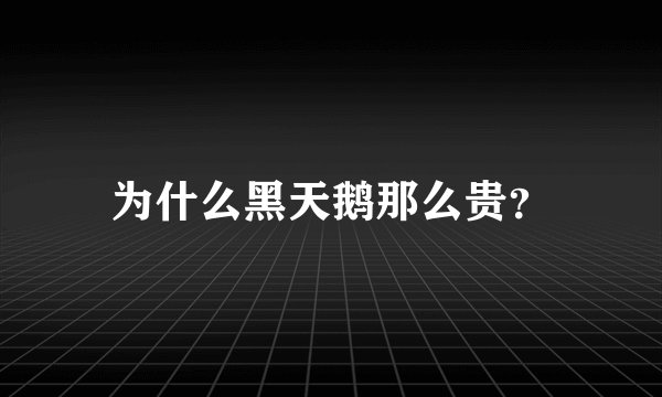 为什么黑天鹅那么贵？