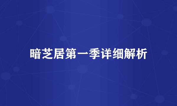暗芝居第一季详细解析