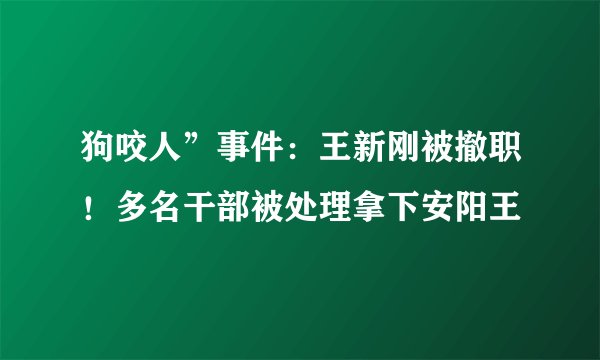 狗咬人”事件：王新刚被撤职！多名干部被处理拿下安阳王