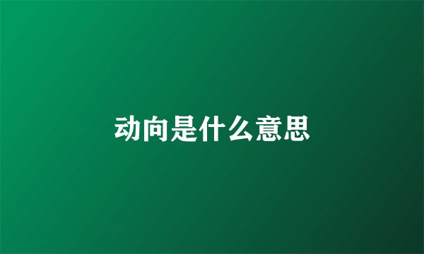 动向是什么意思