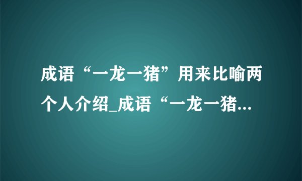 成语“一龙一猪”用来比喻两个人介绍_成语“一龙一猪”用来比喻两个人是什么