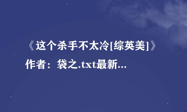 《这个杀手不太冷[综英美]》作者：袋之.txt最新章节/全集txt免费下载