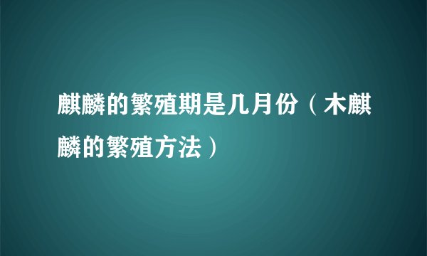 麒麟的繁殖期是几月份（木麒麟的繁殖方法）