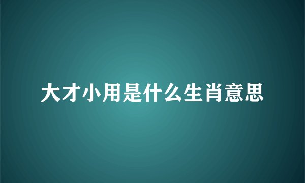 大才小用是什么生肖意思