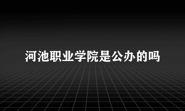 河池职业学院是公办的吗