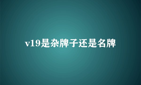 v19是杂牌子还是名牌