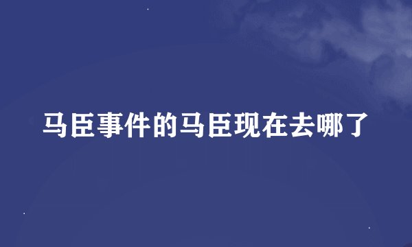 马臣事件的马臣现在去哪了