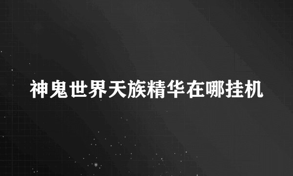神鬼世界天族精华在哪挂机