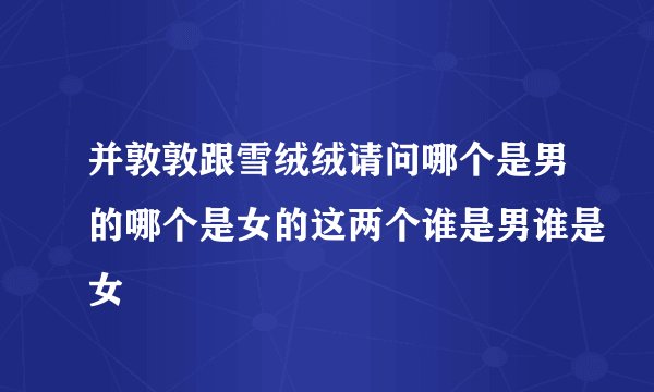 并敦敦跟雪绒绒请问哪个是男的哪个是女的这两个谁是男谁是女