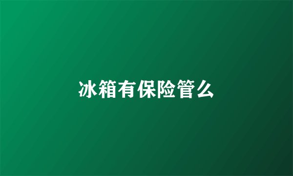冰箱有保险管么