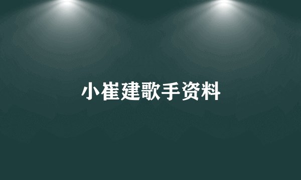 小崔建歌手资料