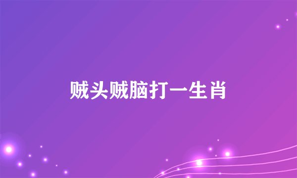 贼头贼脑打一生肖