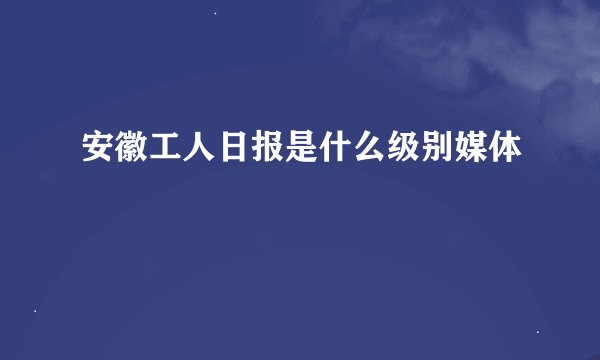 安徽工人日报是什么级别媒体