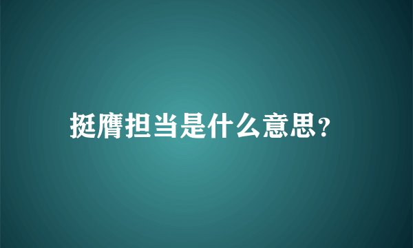 挺膺担当是什么意思？
