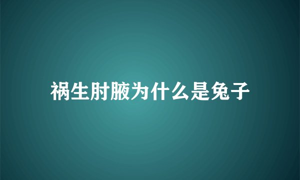 祸生肘腋为什么是兔子