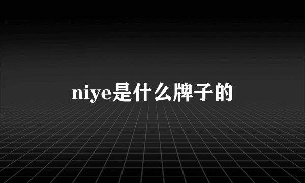 niye是什么牌子的