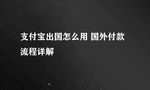 支付宝出国怎么用 国外付款流程详解