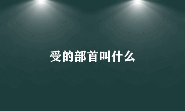 受的部首叫什么