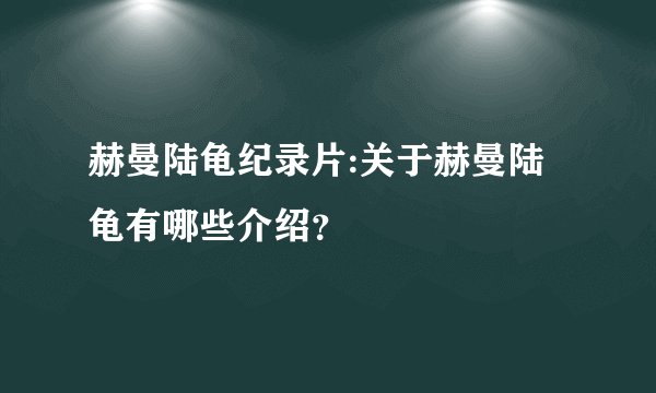 赫曼陆龟纪录片:关于赫曼陆龟有哪些介绍？