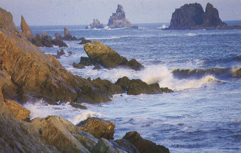 海王九岛简介