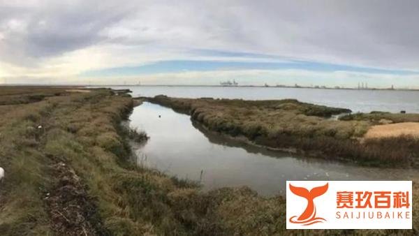 英国有座“死人岛”，任何人不允许进入，棺材碎片和骸骨遍地都是