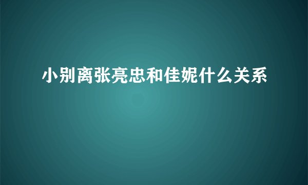 小别离张亮忠和佳妮什么关系