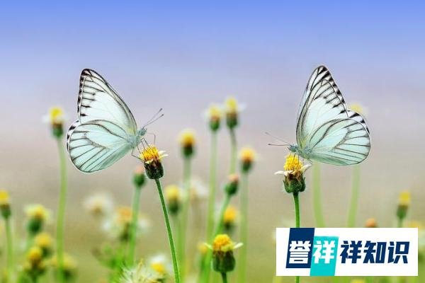 2022年3月3日，星期四