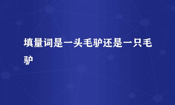 填量词是一头毛驴还是一只毛驴