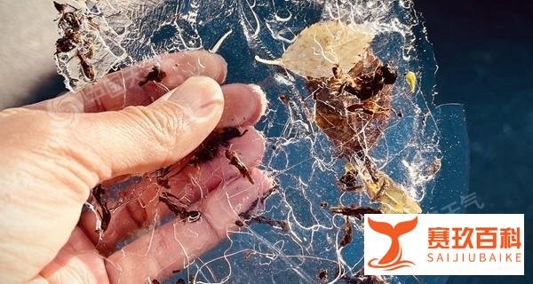 我国多地现10月中旬罕见寒凉，延庆冷到结冰！下周气温仍低迷
