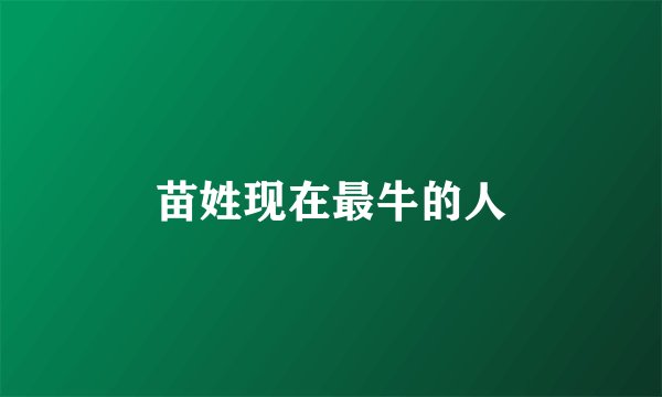苗姓现在最牛的人